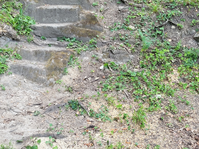 Pozůstatky v kamenolomu u Pěti žídel